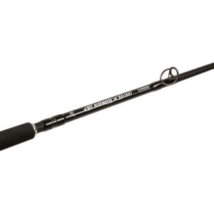 Köp BFT Blue Water Sea Jigging 5'8" -450g på Miekofishing.se!